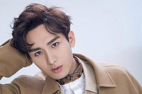 成毅娱乐消息爆料视频是真的吗,成毅娱乐爆料视频真实性揭秘  第1张